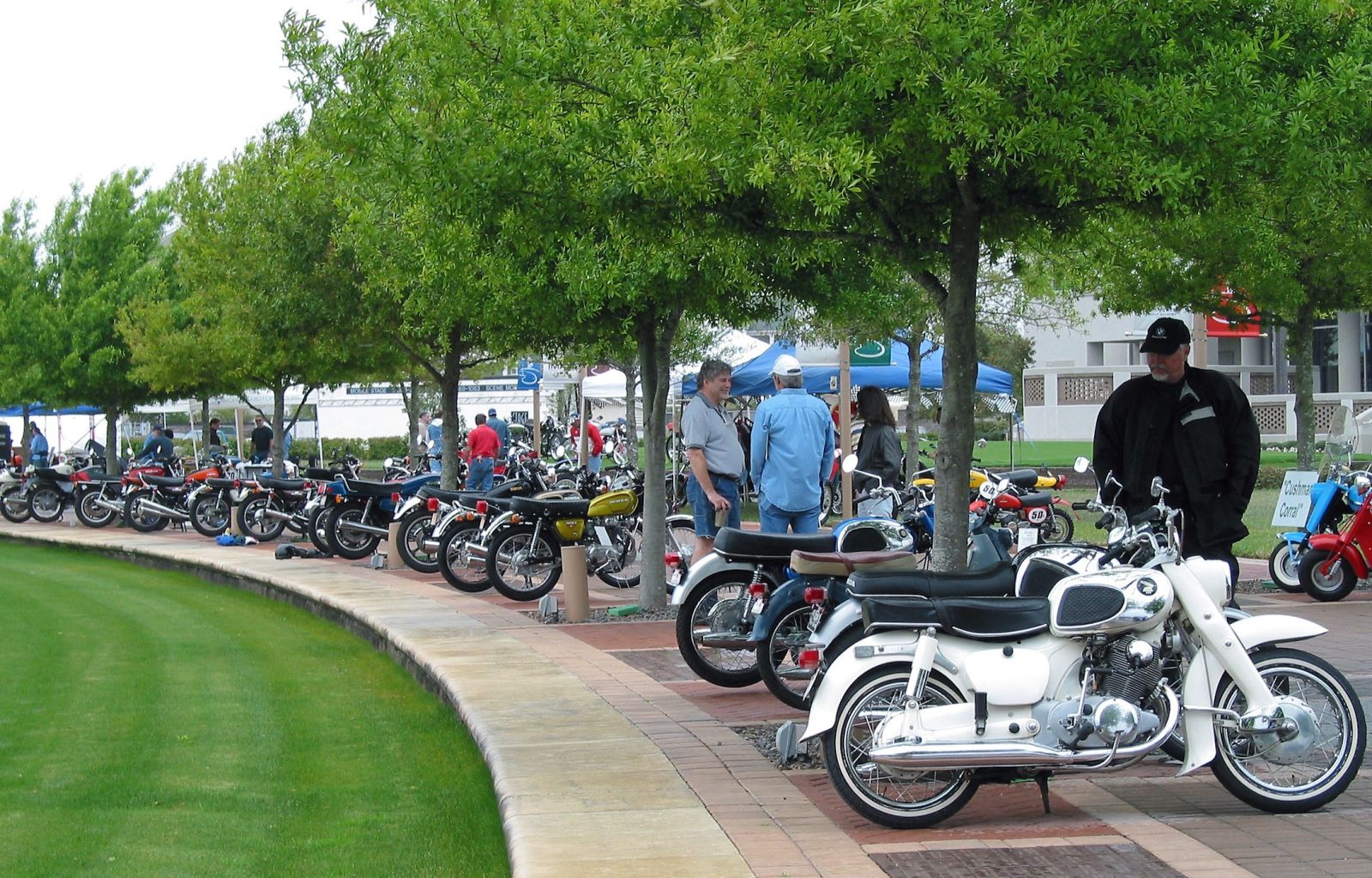 Bikes-Under-Trees.jpg